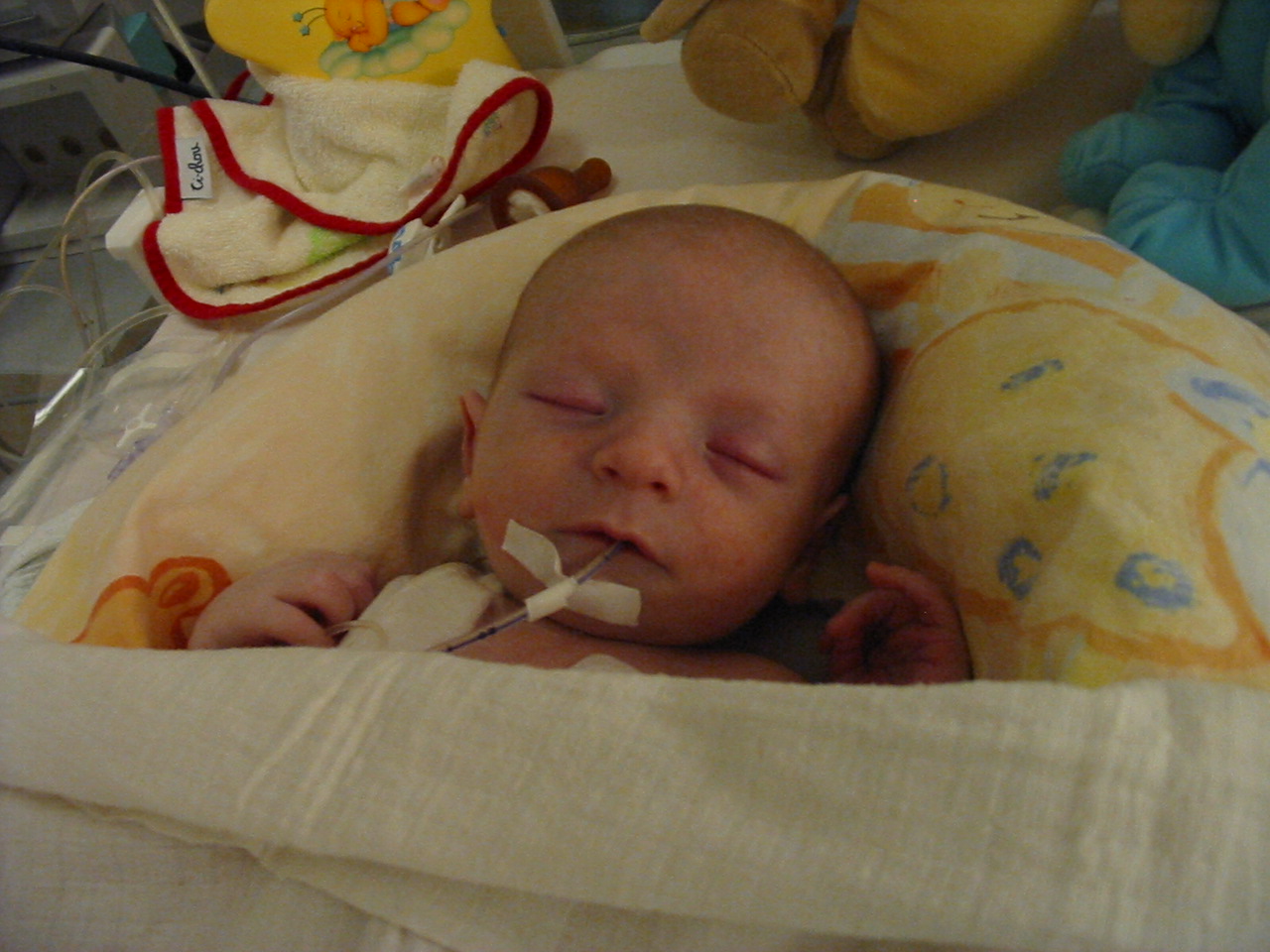 2004, photo 12