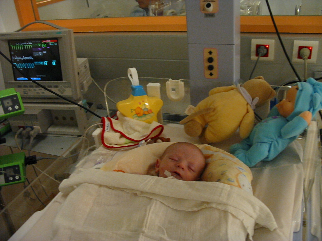 2004, photo 13