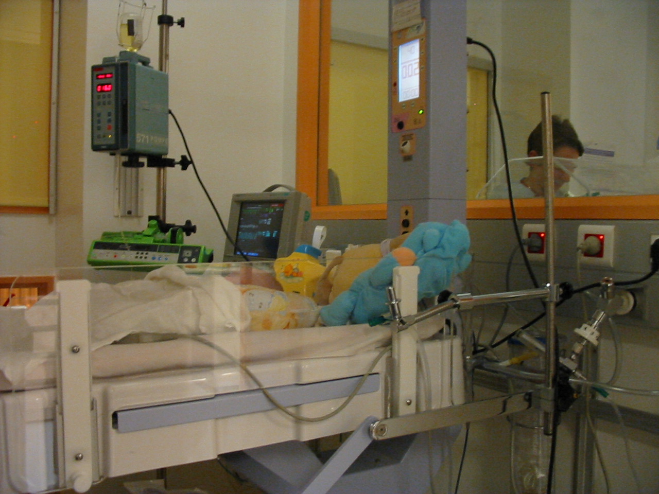 2004, photo 15