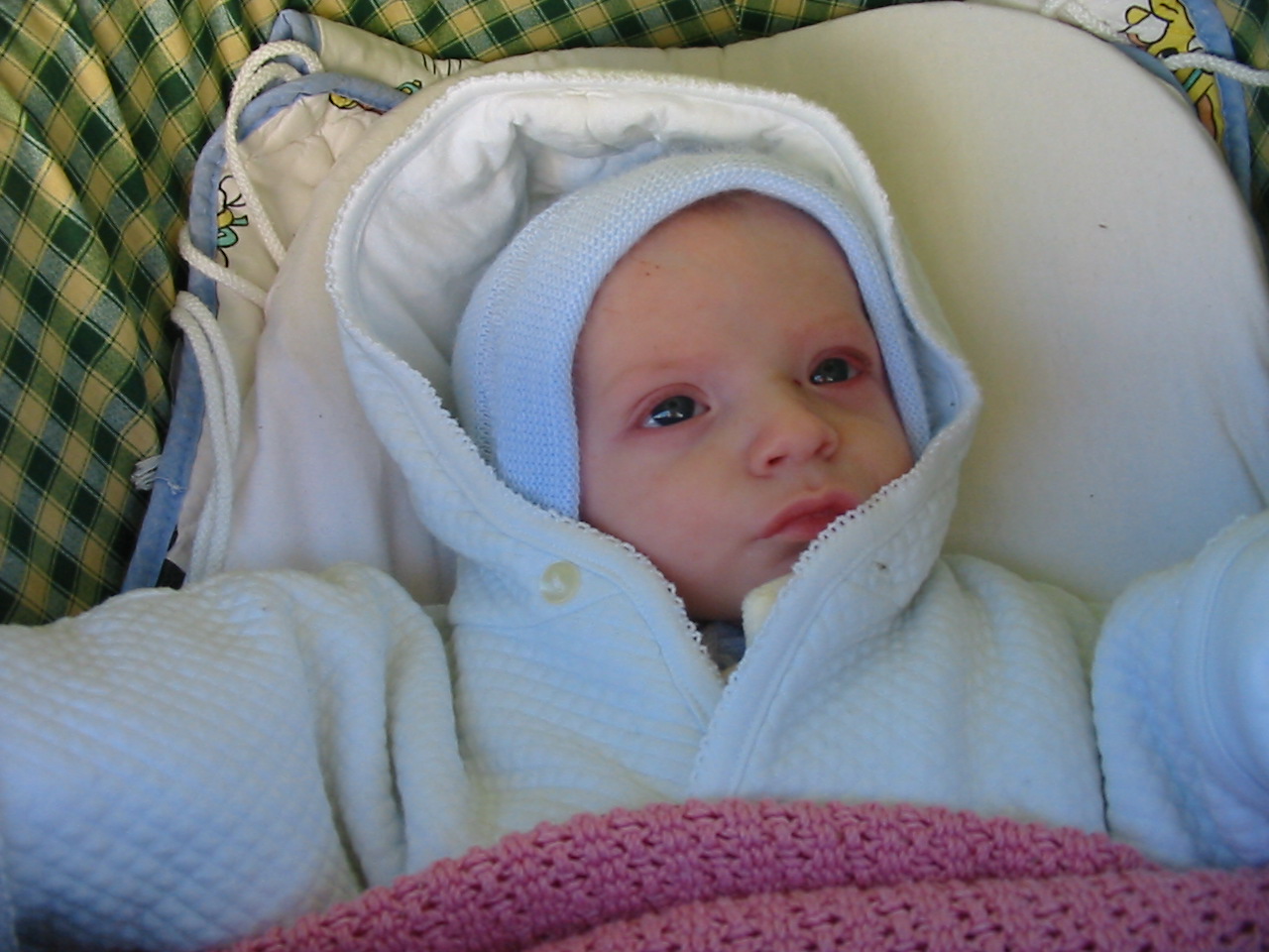 2005, photo 10