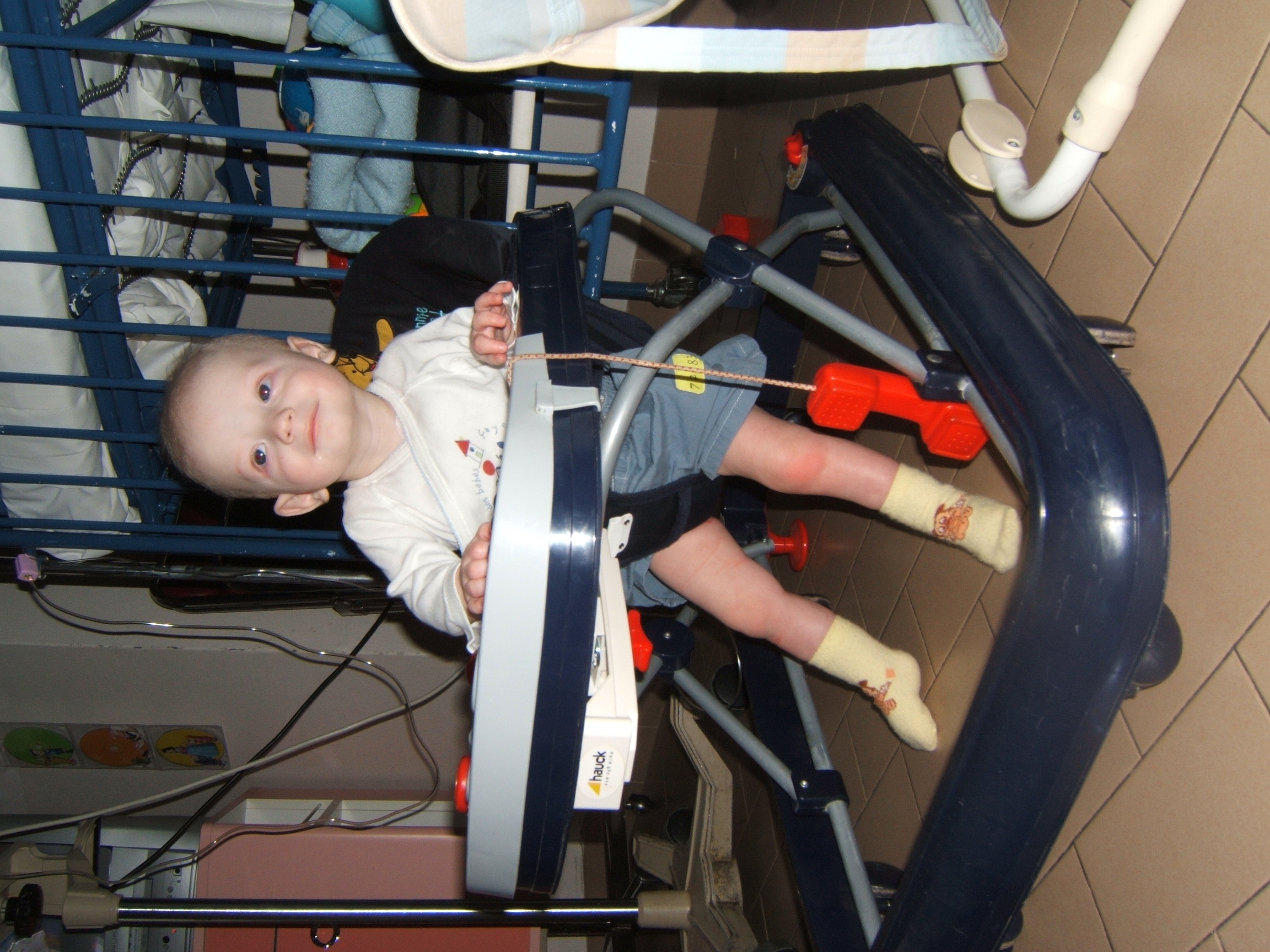 2005, photo 15