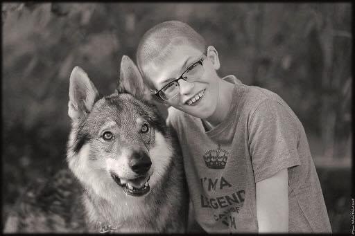 2020, photo 19